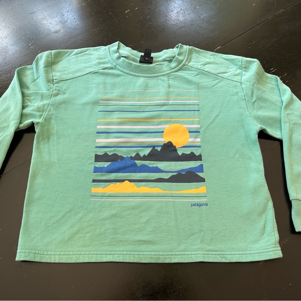 Patagonia Kids Green Long Sleeve with Mountain Design